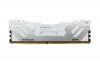 24GB 8400MT/s DDR5 CL40 CUDIMM FURY Rene