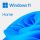 LIC OEM WIN 11 HOME 64BIT RO