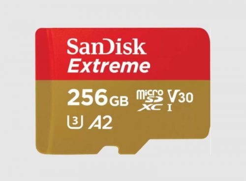 MICROSDXC 256GB CL10 SDSQXAV-256G-GN6MA